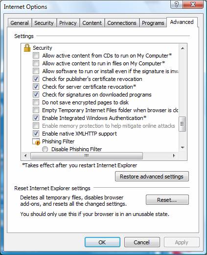 Check Internet Explorer Settings - Screenshot