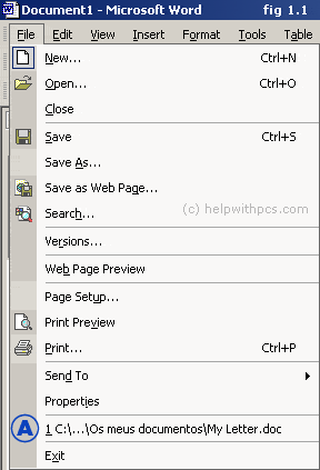 select the Print option from the file menu - Screenshot